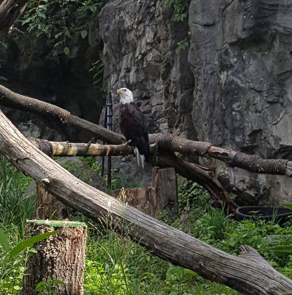 Meet your Posher, David - Picture 1 of 1